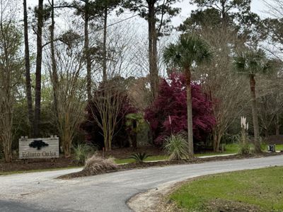 49 Seaside Lane, Edisto Island, SC 29438