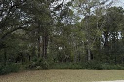 49 Seaside Lane photo 4