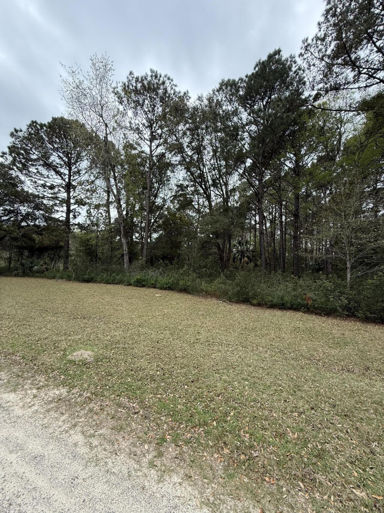 49 Seaside Lane Photo 5