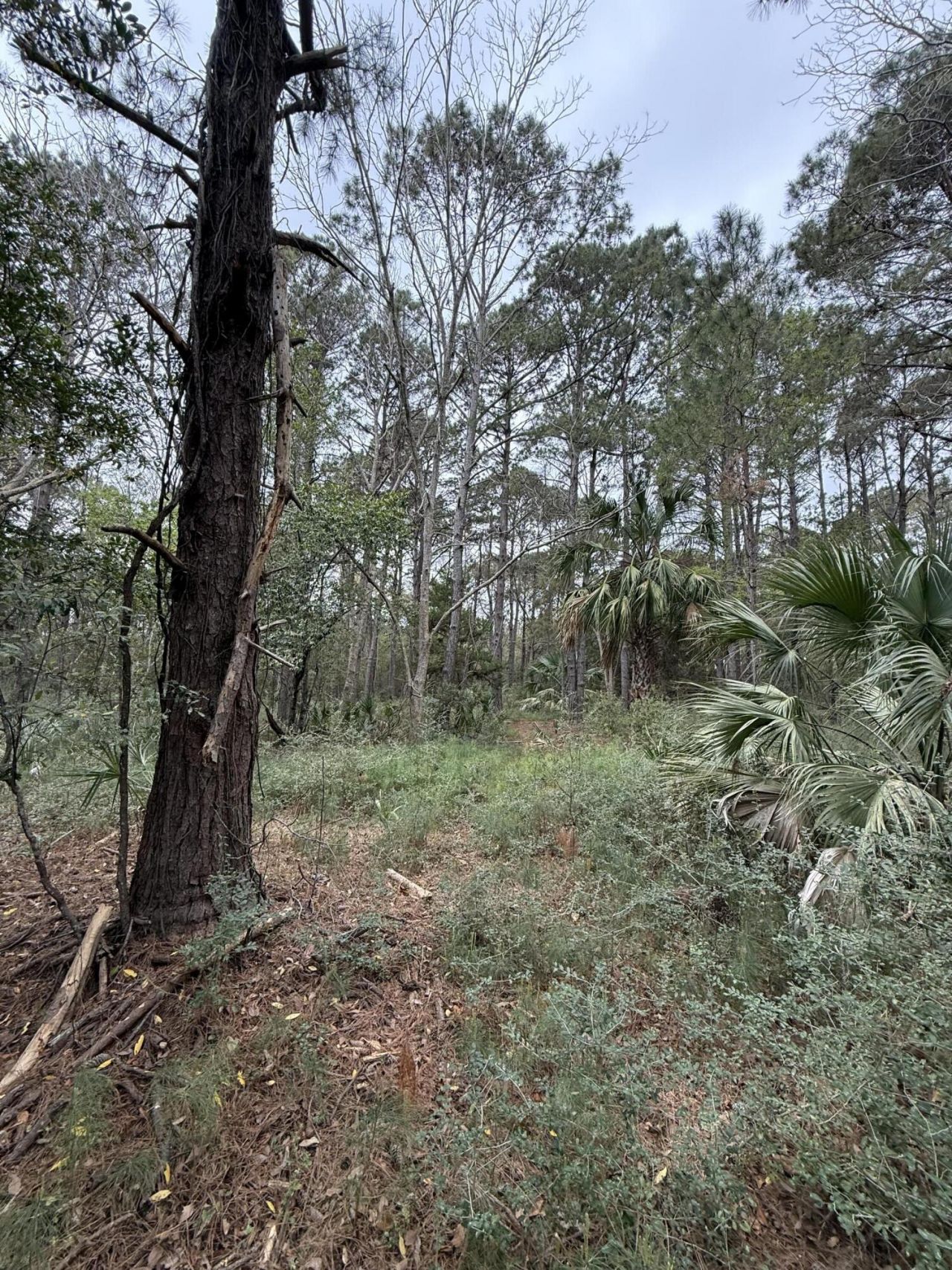 49 Seaside Lane Photo 6