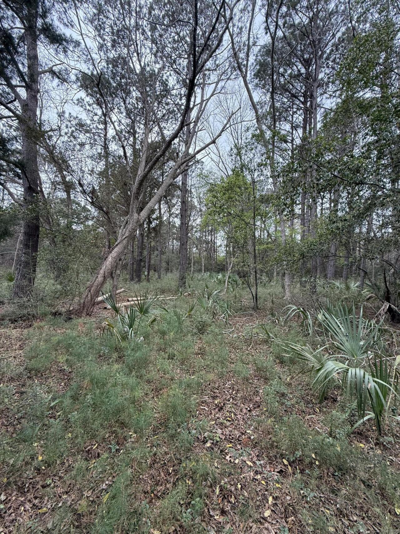 49 Seaside Lane Photo 7