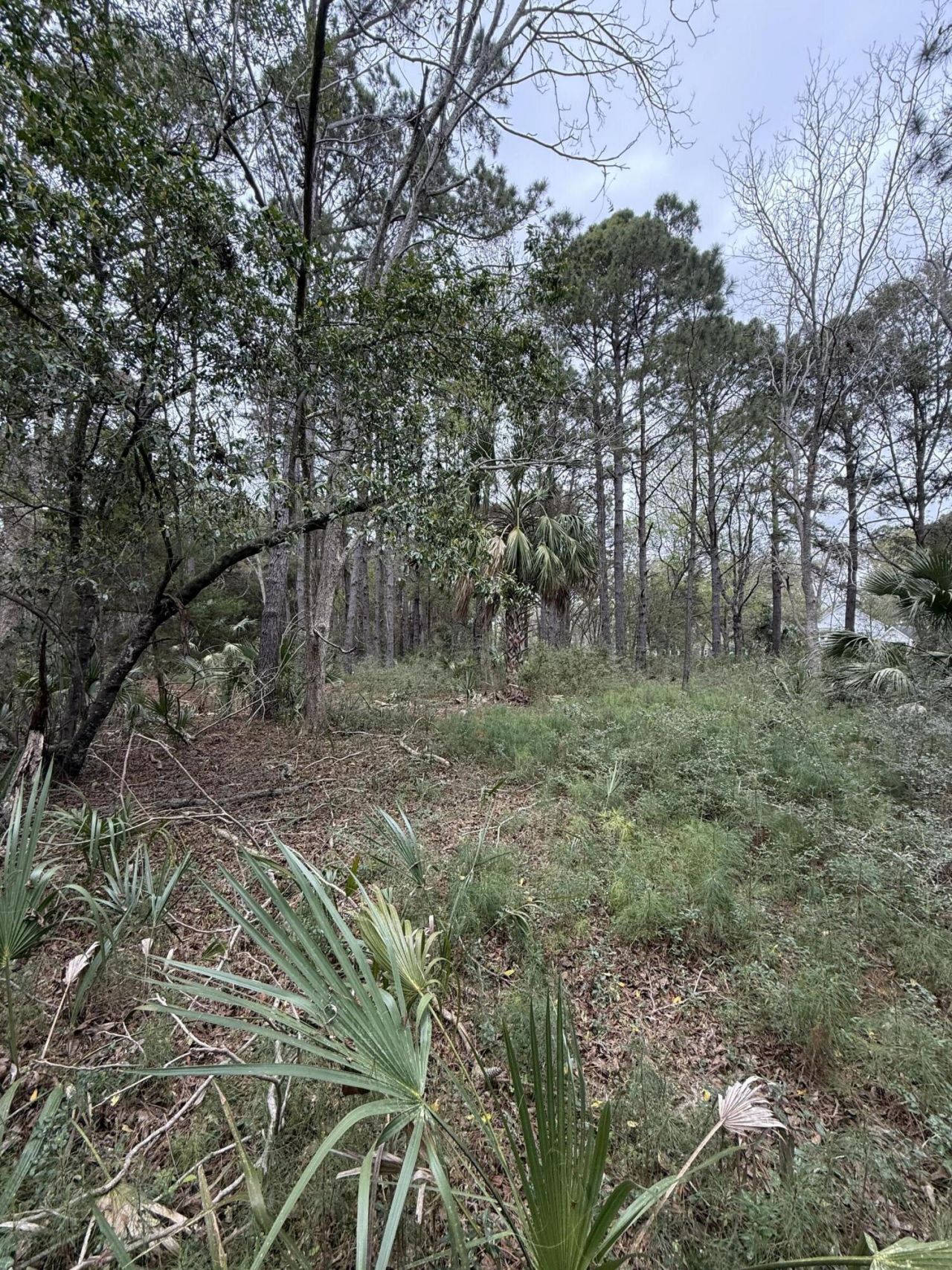 49 Seaside Lane Photo 8