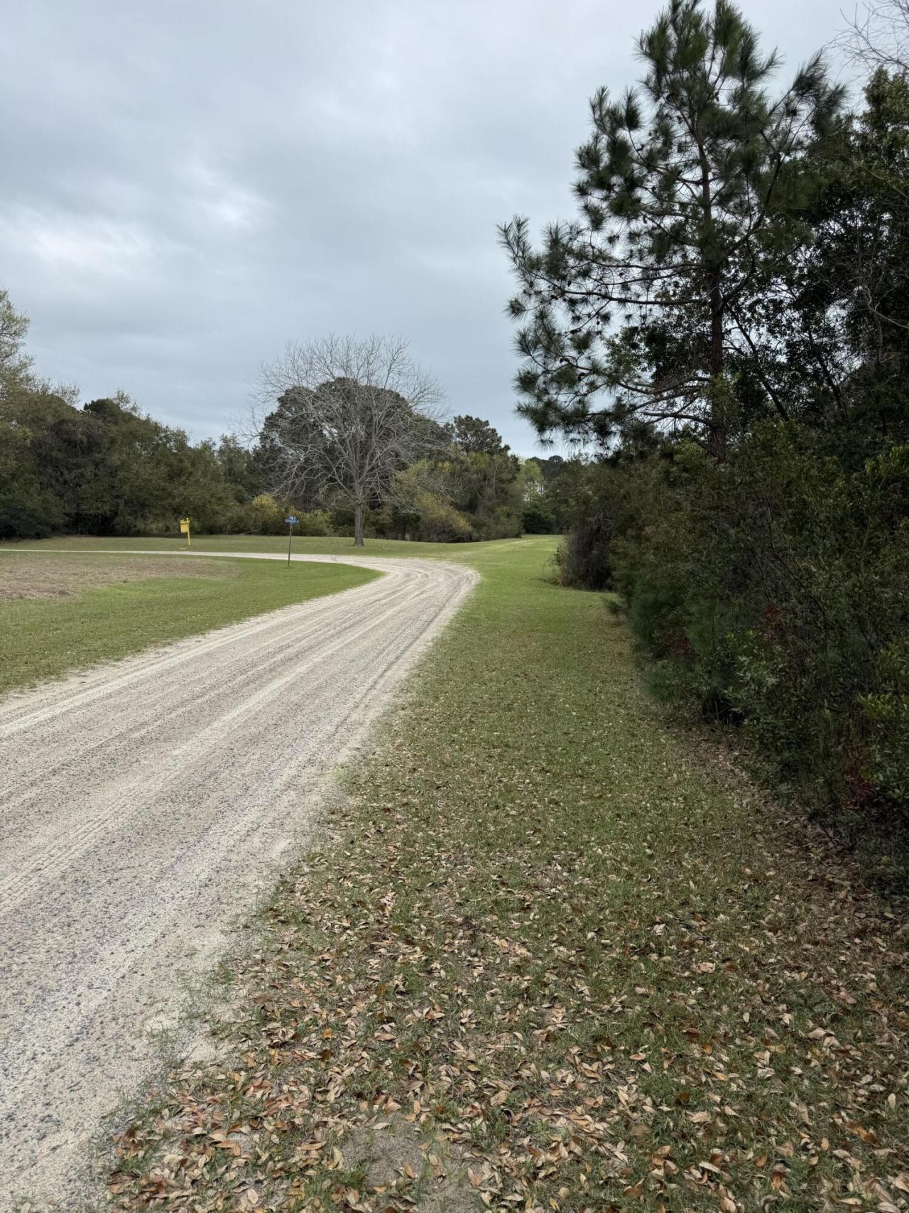 49 Seaside Lane Photo 9