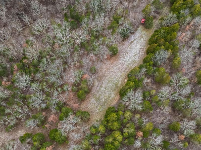 000 Hogg Ridge Road, Williamstown, KY 41097 Photo 10