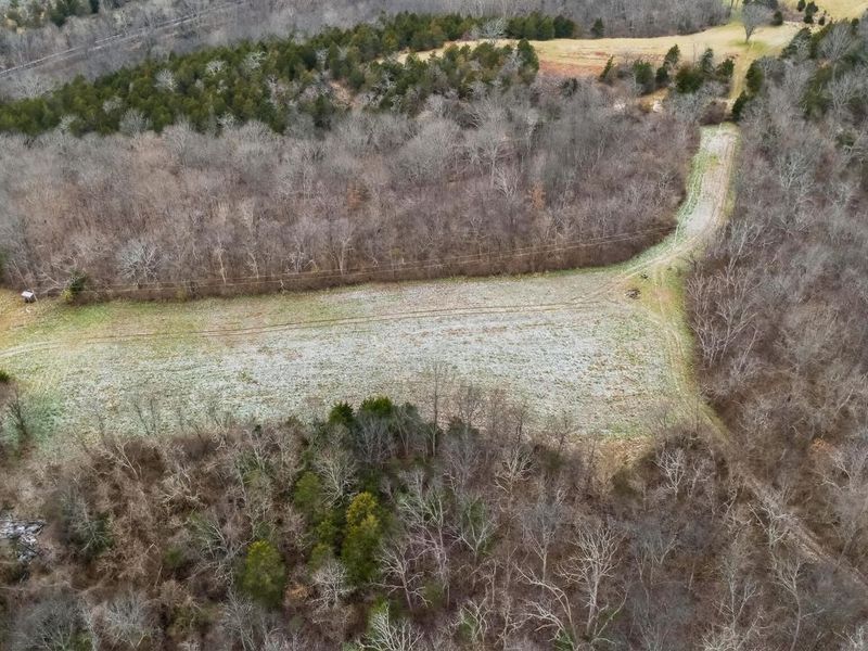 000 Hogg Ridge Road, Williamstown, KY 41097 Photo 11