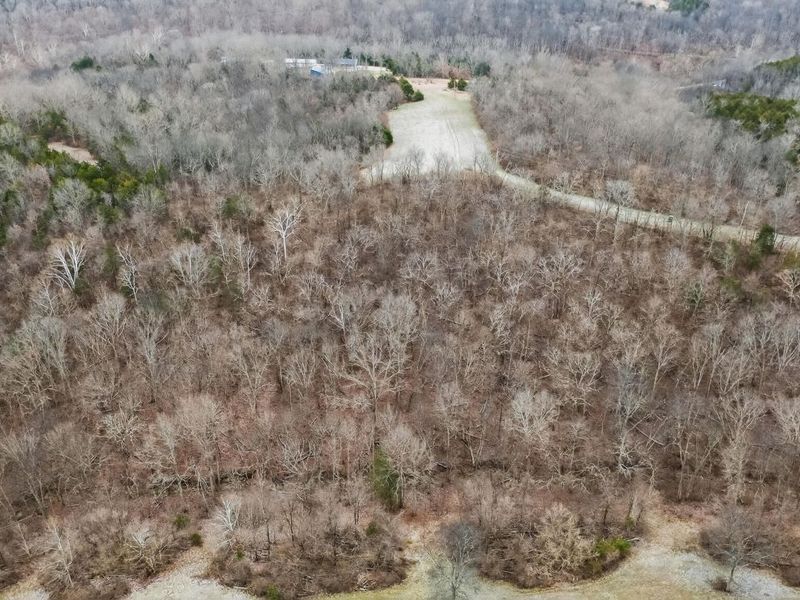 000 Hogg Ridge Road, Williamstown, KY 41097 Photo 12