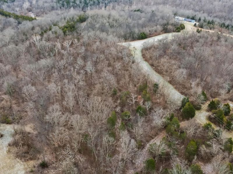 000 Hogg Ridge Road, Williamstown, KY 41097 Photo 13