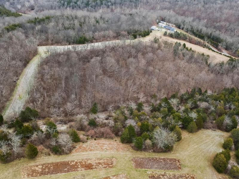 000 Hogg Ridge Road, Williamstown, KY 41097 Photo 14