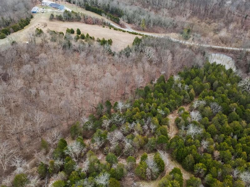 000 Hogg Ridge Road, Williamstown, KY 41097 Photo 15