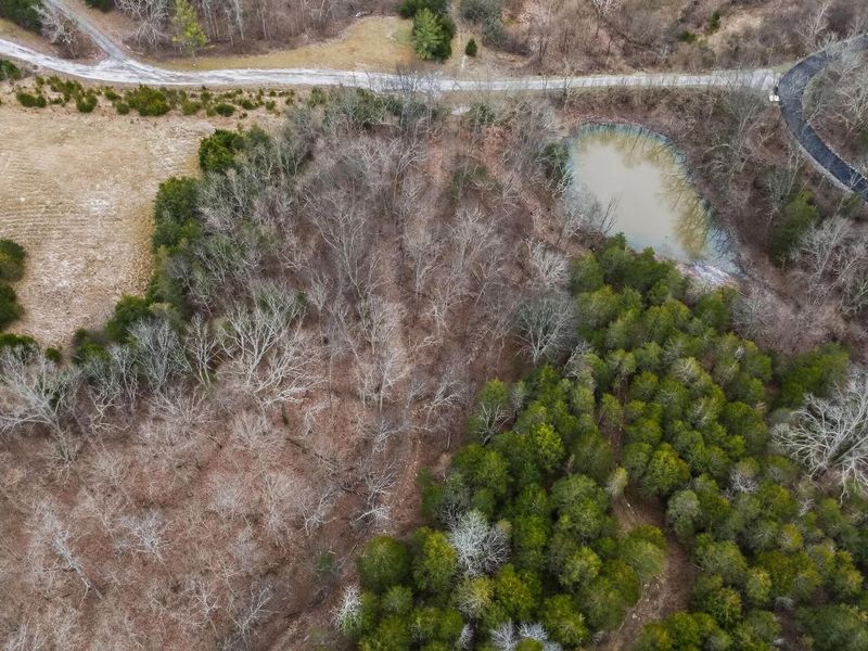 000 Hogg Ridge Road, Williamstown, KY 41097 Photo 16