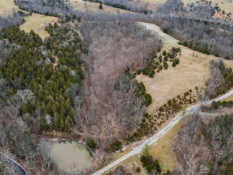 000 Hogg Ridge Road, Williamstown, KY 41097 Photo 17