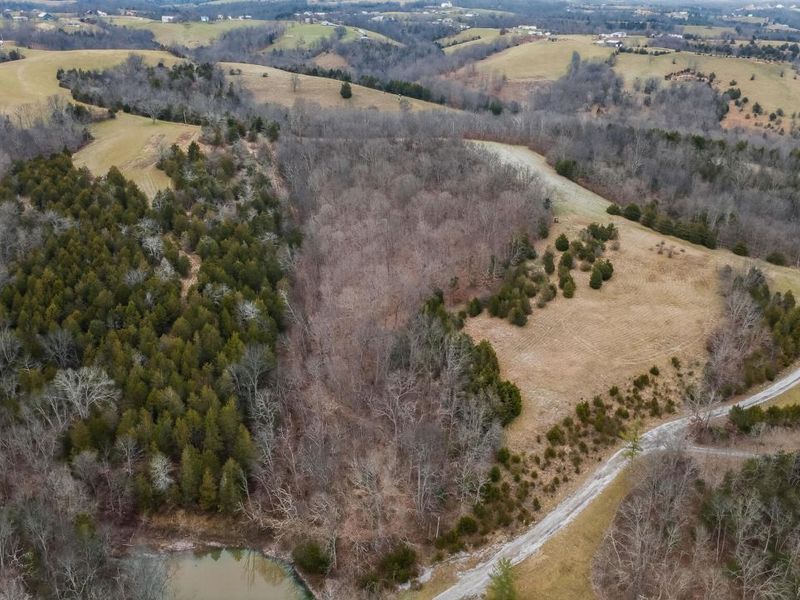 000 Hogg Ridge Road, Williamstown, KY 41097 Photo 18