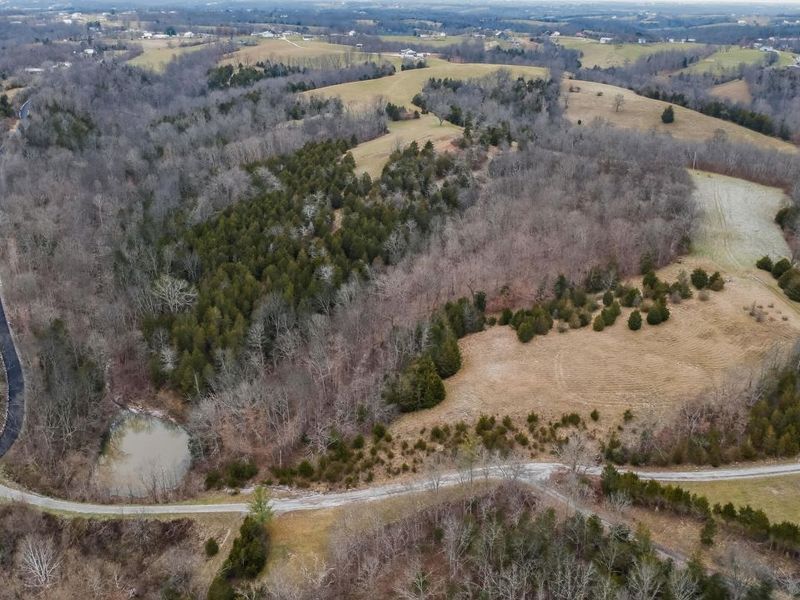 000 Hogg Ridge Road, Williamstown, KY 41097 Photo 19