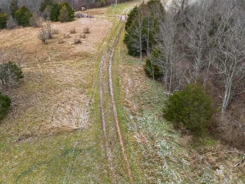 000 Hogg Ridge Road, Williamstown, KY 41097 Photo 2