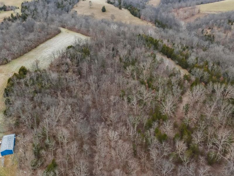 000 Hogg Ridge Road, Williamstown, KY 41097 Photo 20