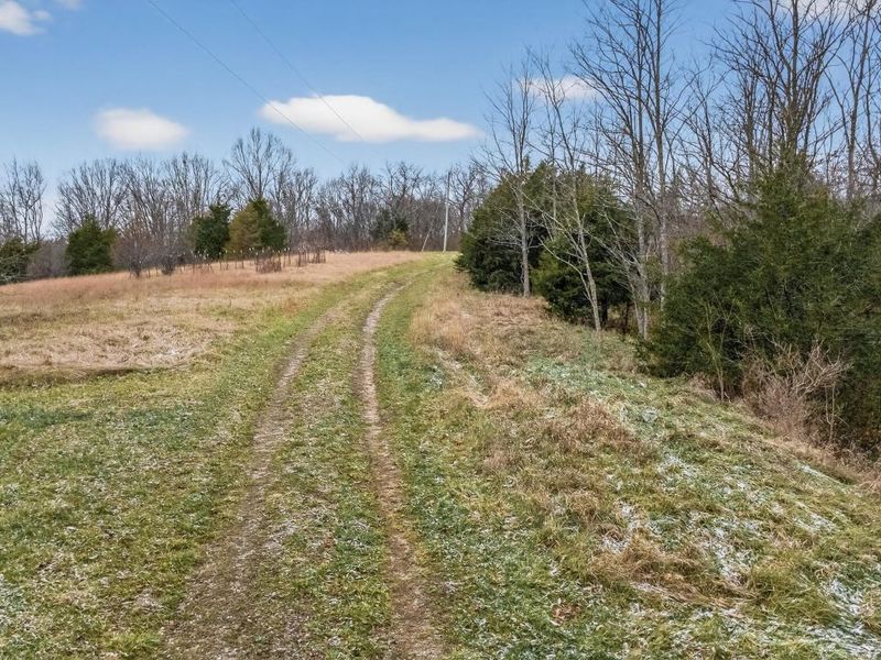 000 Hogg Ridge Road, Williamstown, KY 41097 Photo 23