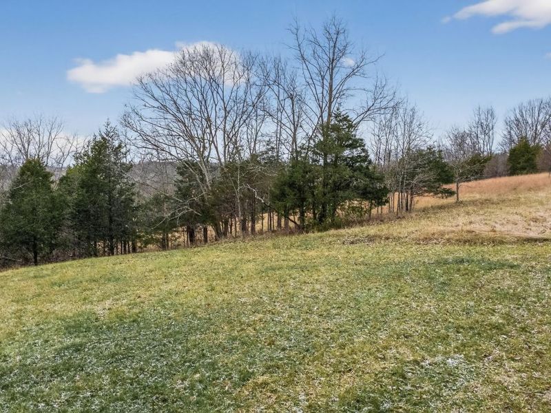 000 Hogg Ridge Road, Williamstown, KY 41097 Photo 24