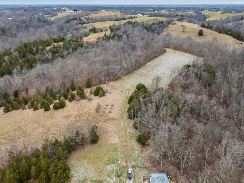 000 Hogg Ridge Road, Williamstown, KY 41097 Photo 3