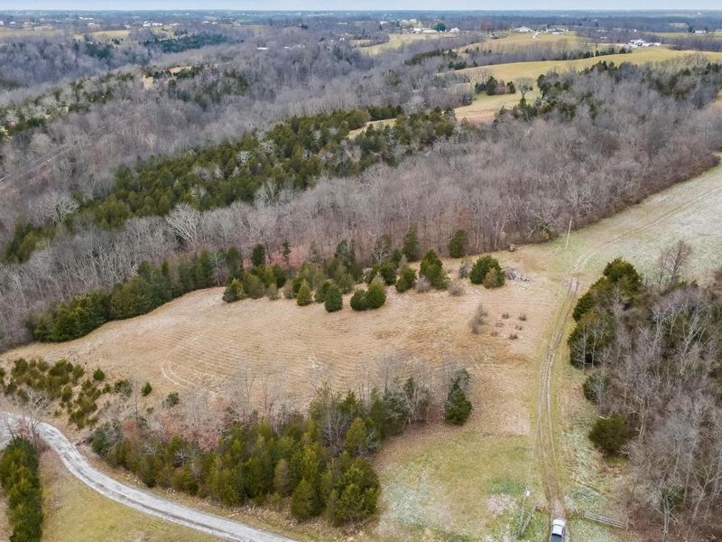 000 Hogg Ridge Road, Williamstown, KY 41097 Photo 4