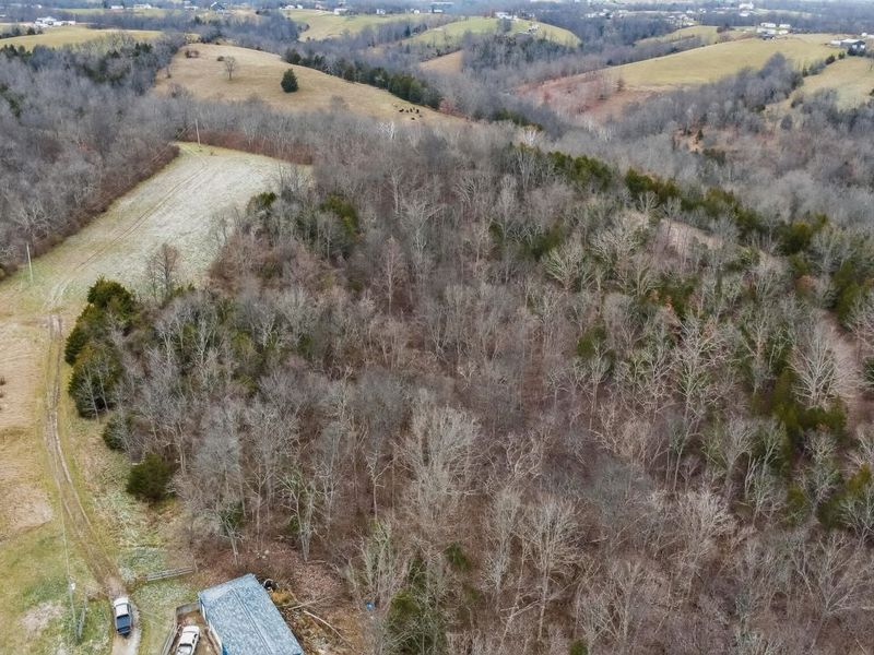 000 Hogg Ridge Road, Williamstown, KY 41097 Photo 5