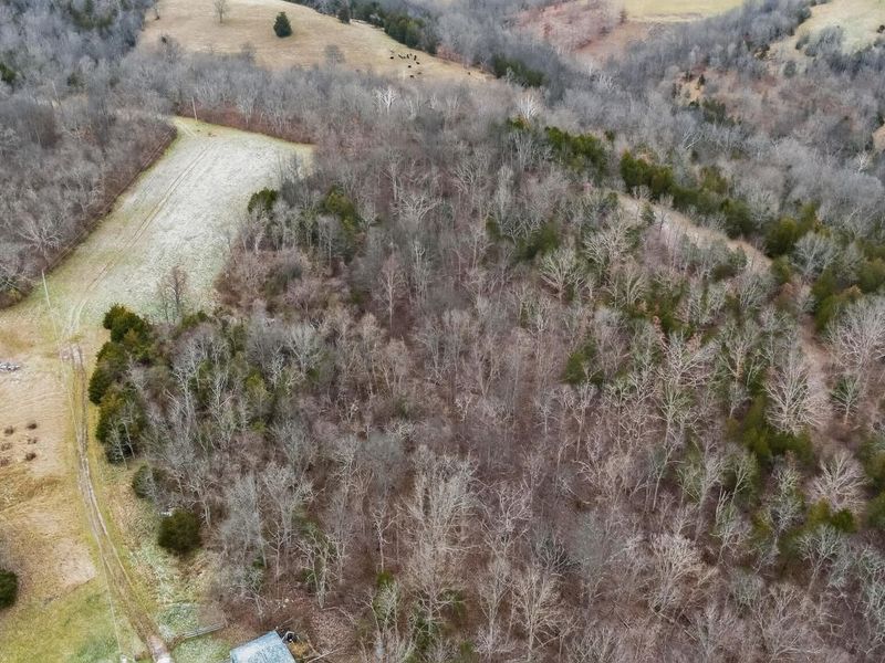 000 Hogg Ridge Road, Williamstown, KY 41097 Photo 6