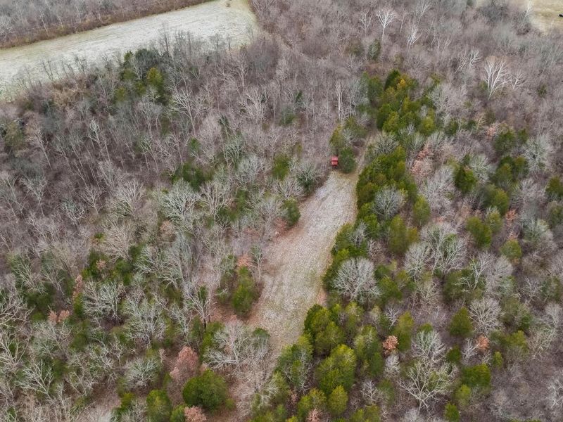 000 Hogg Ridge Road, Williamstown, KY 41097 Photo 8