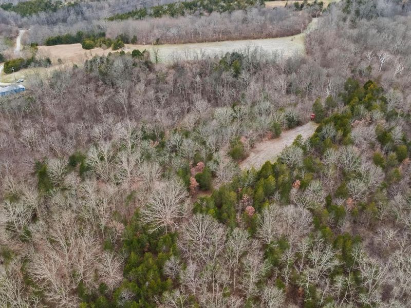 000 Hogg Ridge Road, Williamstown, KY 41097 Photo 9