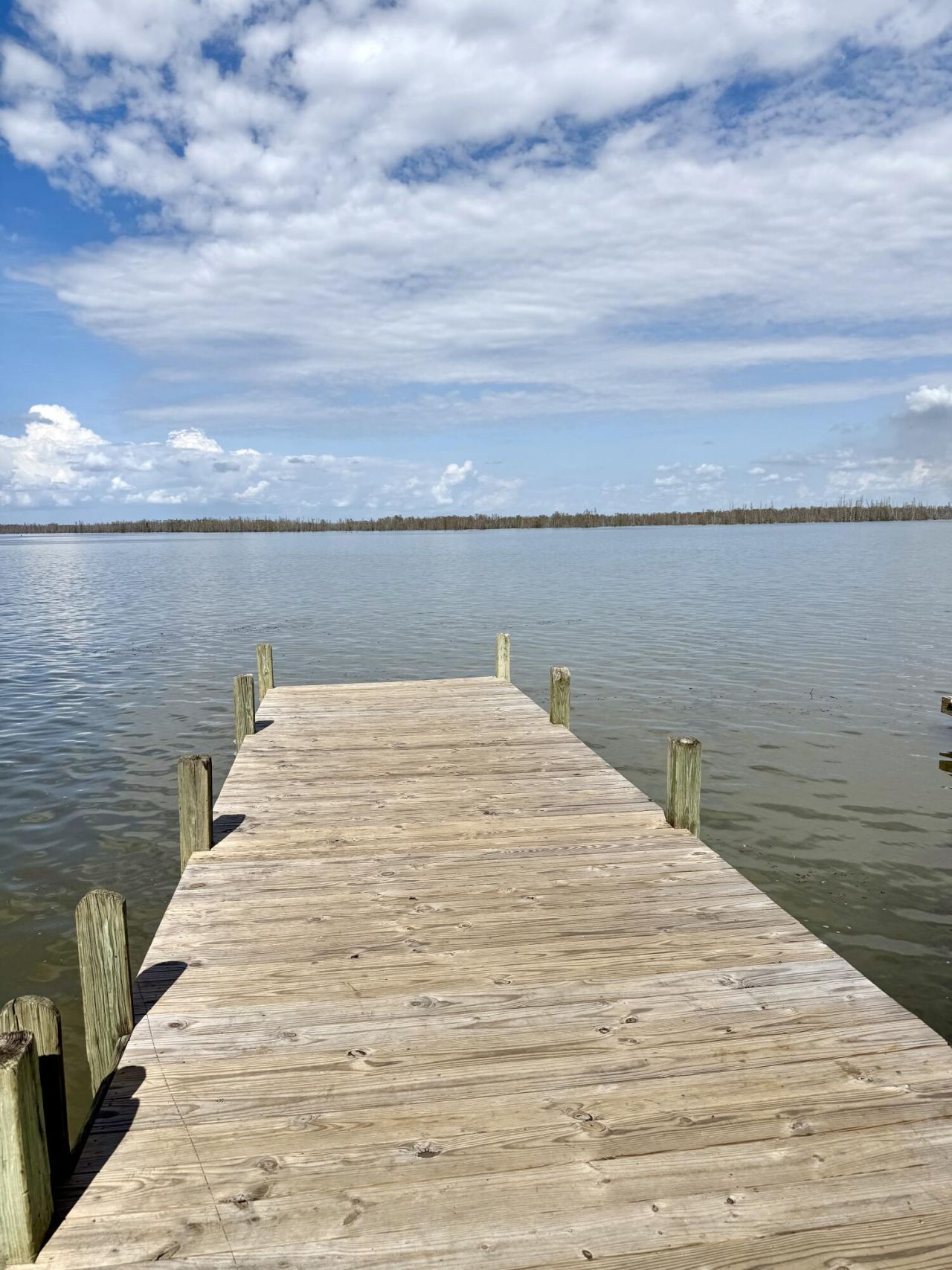 648 Stumphole Road Photo 15