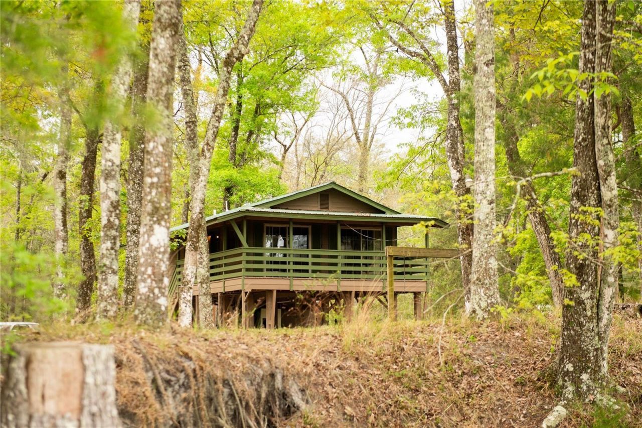 119 SE Dorthie Land Road , Branford, FL 32008 Photo