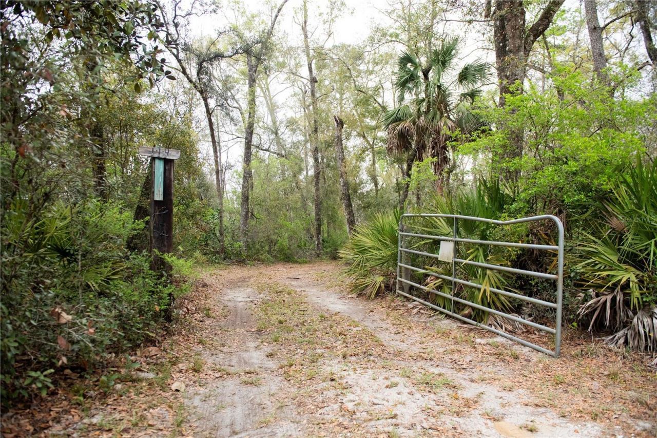 119 SE Dorthie Land Road , Branford, FL 32008 Photo