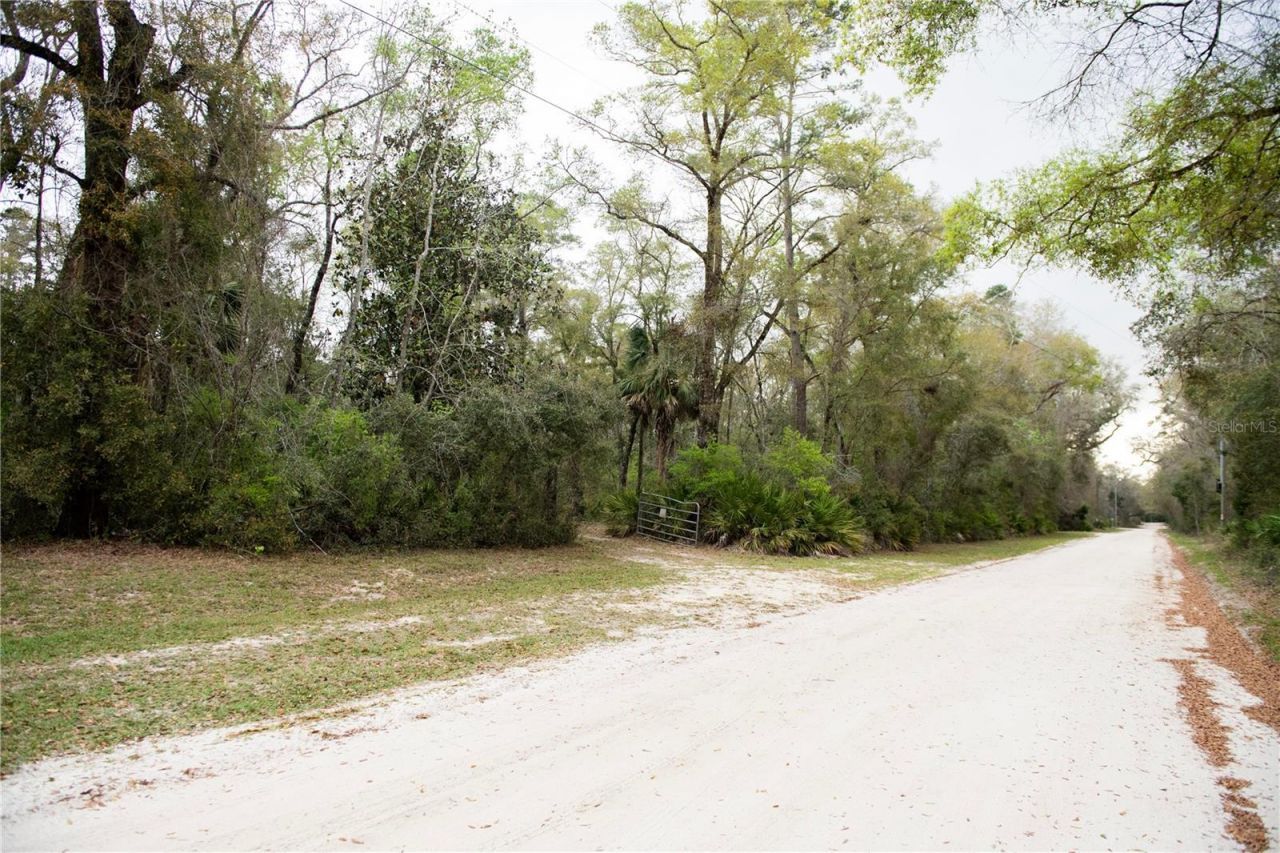 119 SE Dorthie Land Road , Branford, FL 32008 Photo