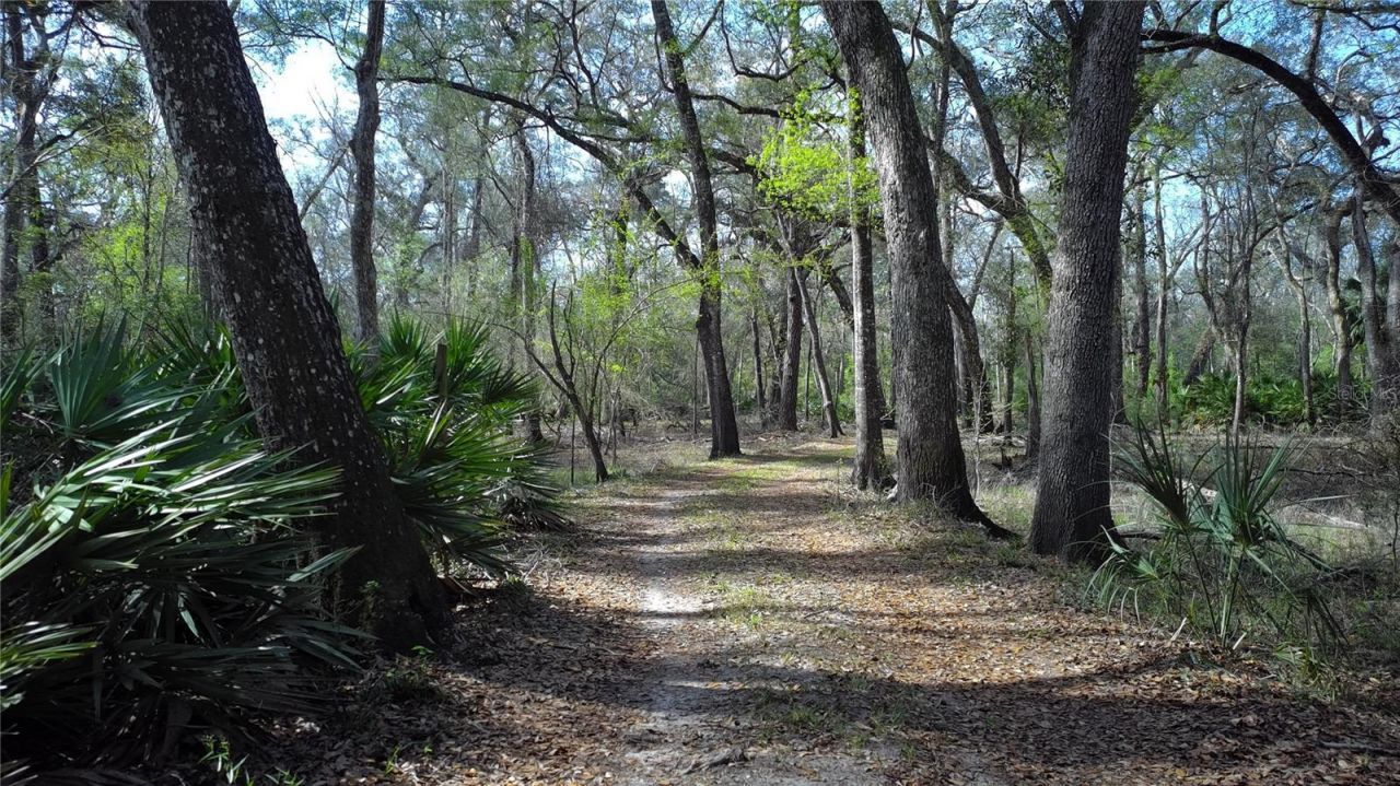 119 SE Dorthie Land Road , Branford, FL 32008 Photo