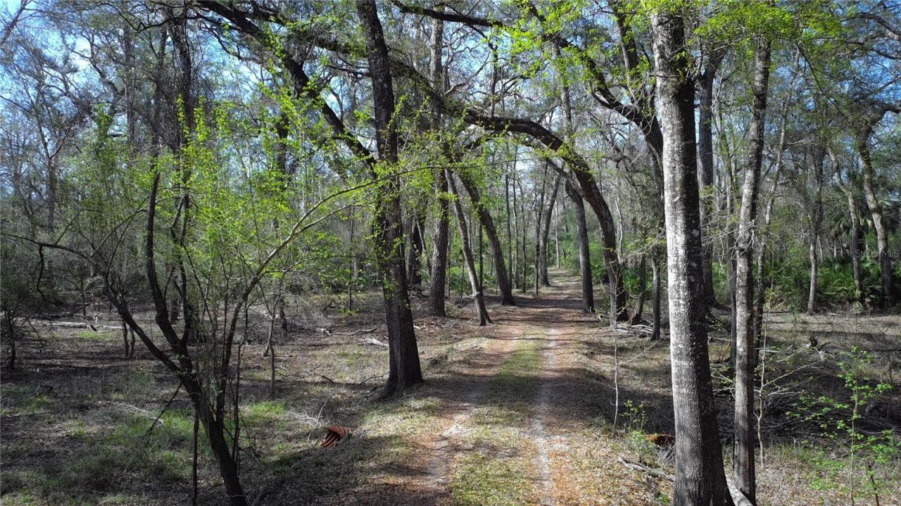 119 SE Dorthie Land Road , Branford, FL 32008 Photo