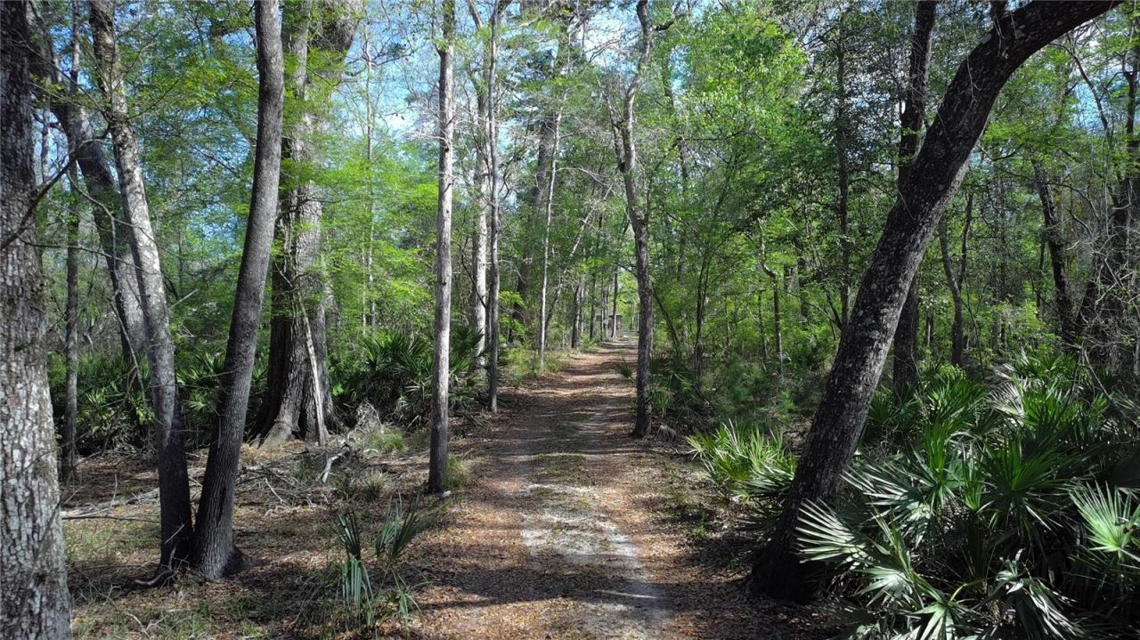 119 SE Dorthie Land Road , Branford, FL 32008 Photo