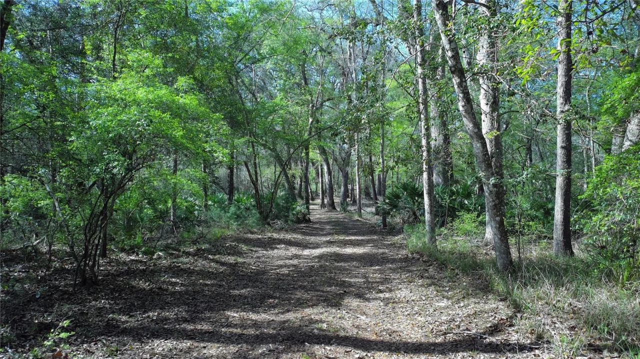119 SE Dorthie Land Road , Branford, FL 32008 Photo