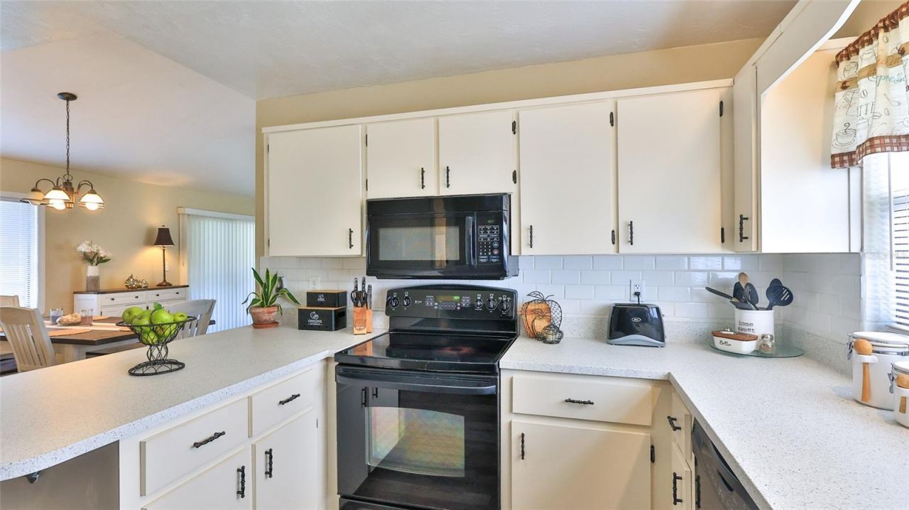 2417 Sabal Palm Drive, Edgewater, FL 32141 Photo