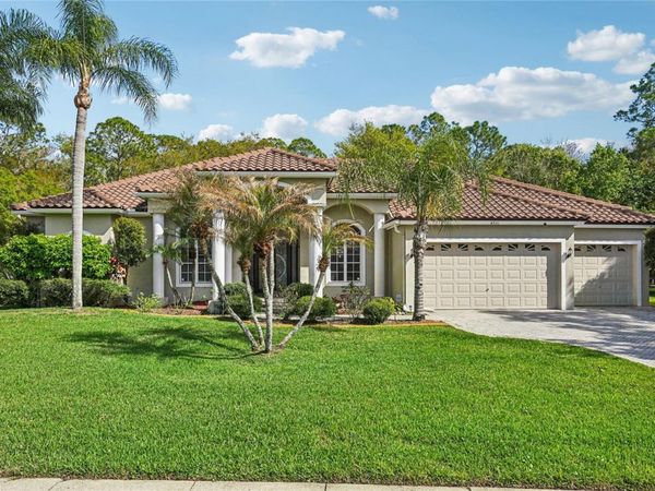 4931 TURTLE CREEK TRAIL , OLDSMAR, FL 34677