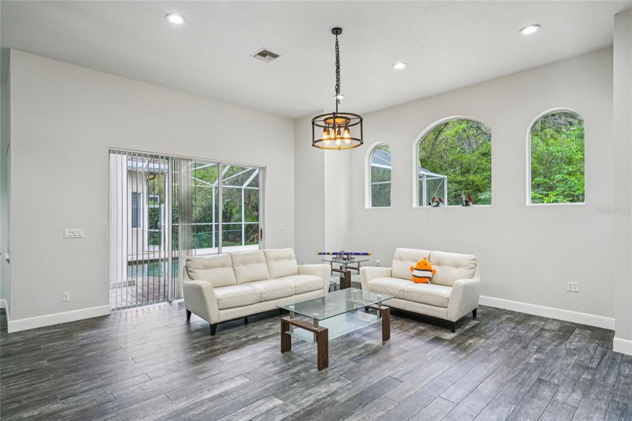 4931 Turtle Creek Trail, Oldsmar, FL 34677 Photo