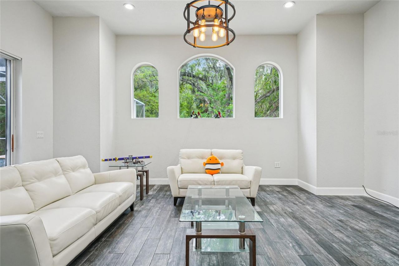 4931 Turtle Creek Trail, Oldsmar, FL 34677 Photo