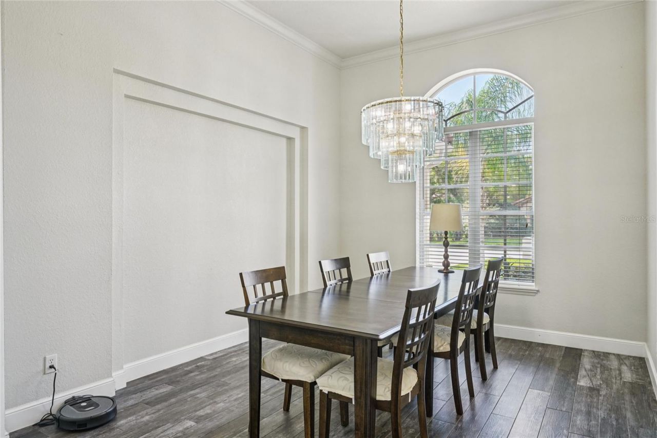 4931 Turtle Creek Trail, Oldsmar, FL 34677 Photo