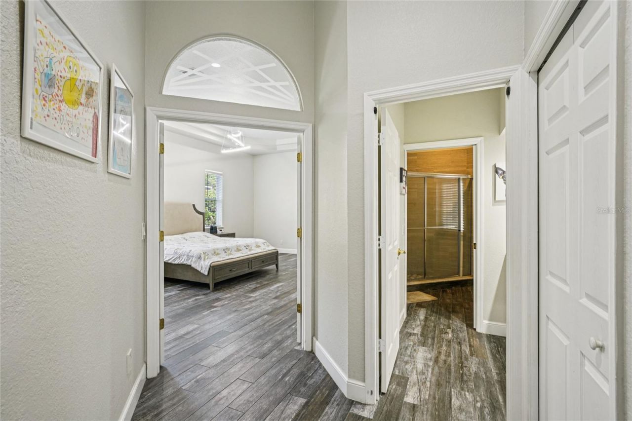 4931 Turtle Creek Trail, Oldsmar, FL 34677 Photo