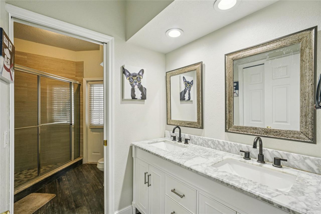 4931 Turtle Creek Trail, Oldsmar, FL 34677 Photo