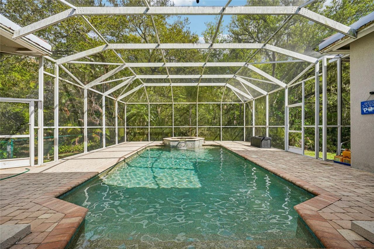 4931 Turtle Creek Trail, Oldsmar, FL 34677 Photo