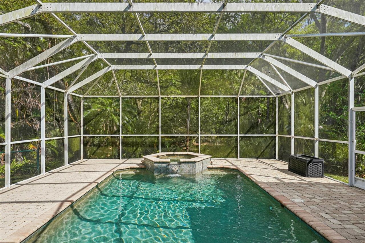 4931 Turtle Creek Trail, Oldsmar, FL 34677 Photo