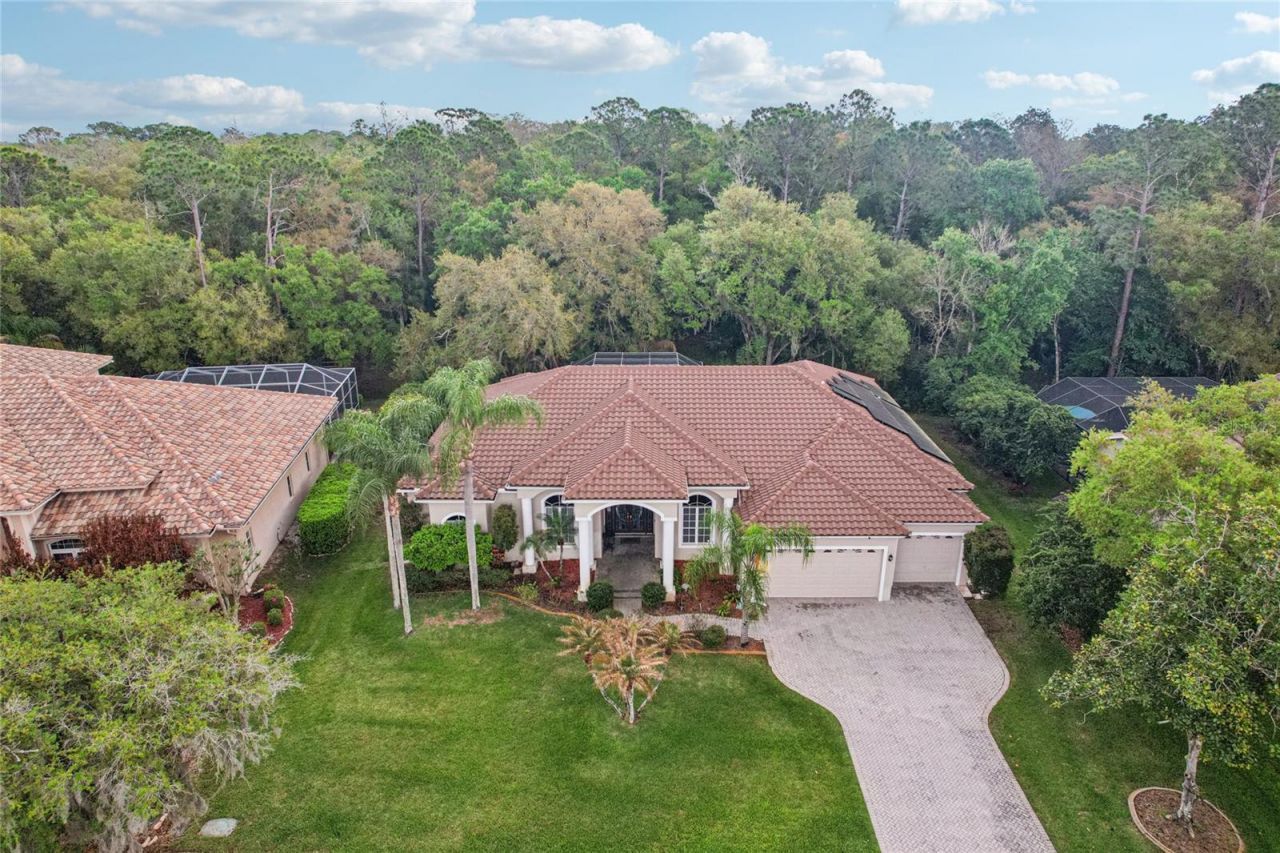 4931 Turtle Creek Trail, Oldsmar, FL 34677 Photo