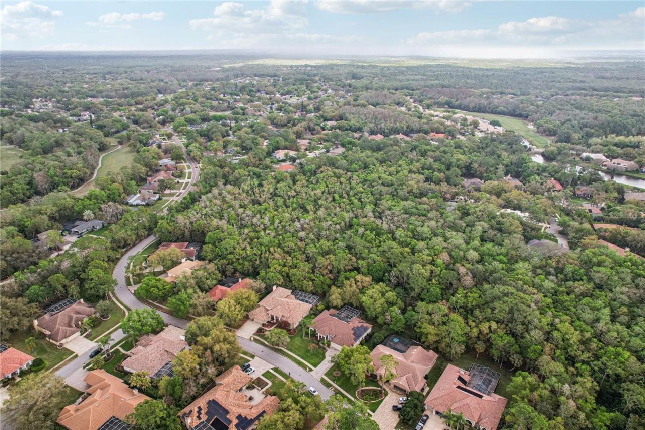 4931 Turtle Creek Trail, Oldsmar, FL 34677 Photo