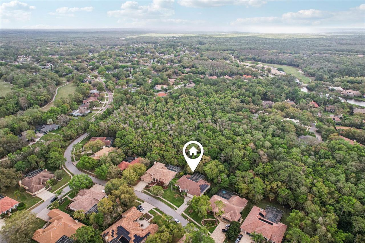 4931 Turtle Creek Trail, Oldsmar, FL 34677 Photo