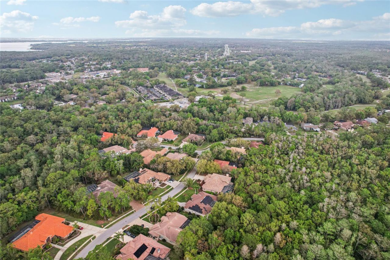 4931 Turtle Creek Trail, Oldsmar, FL 34677 Photo