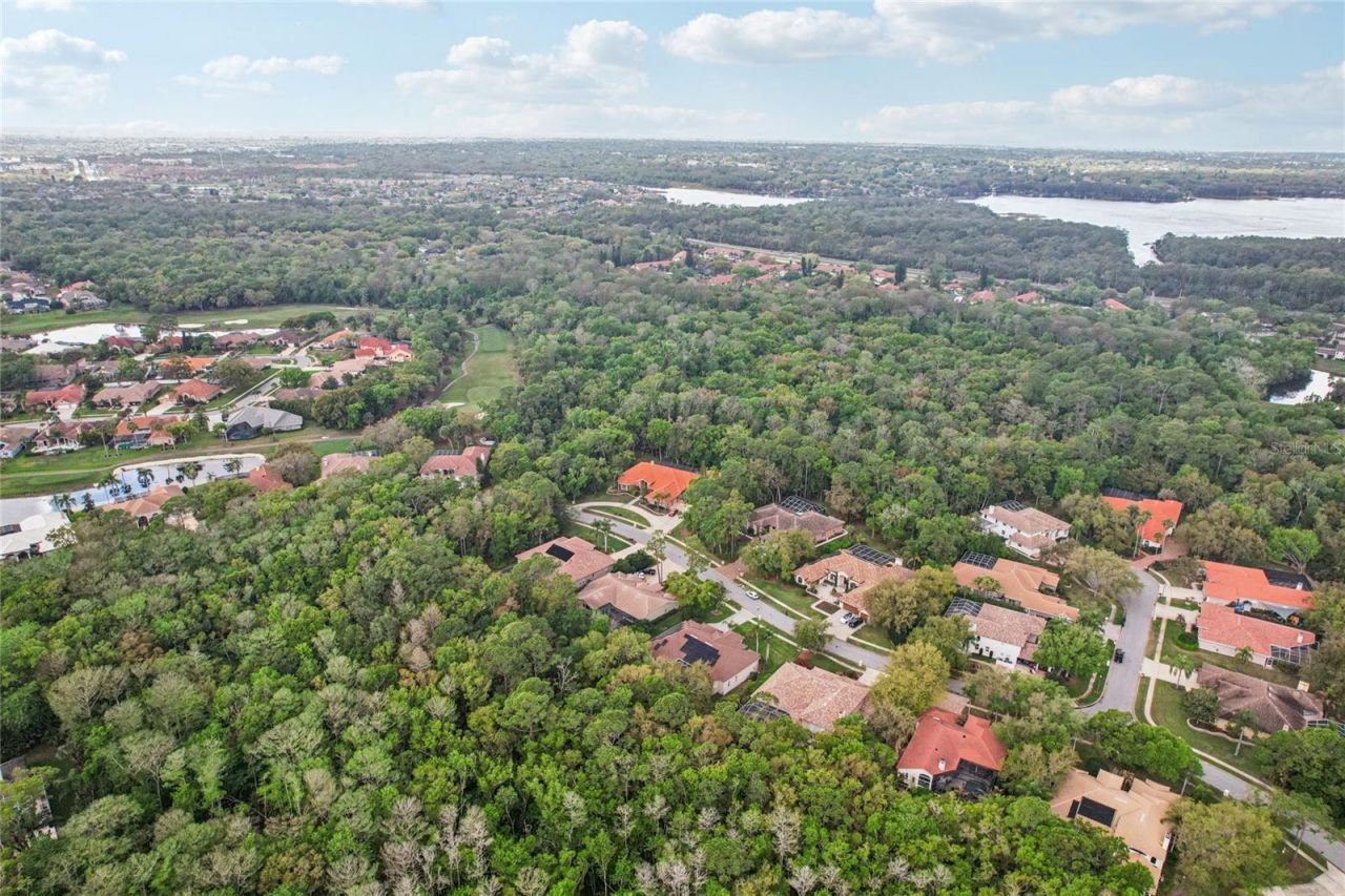 4931 Turtle Creek Trail, Oldsmar, FL 34677 Photo