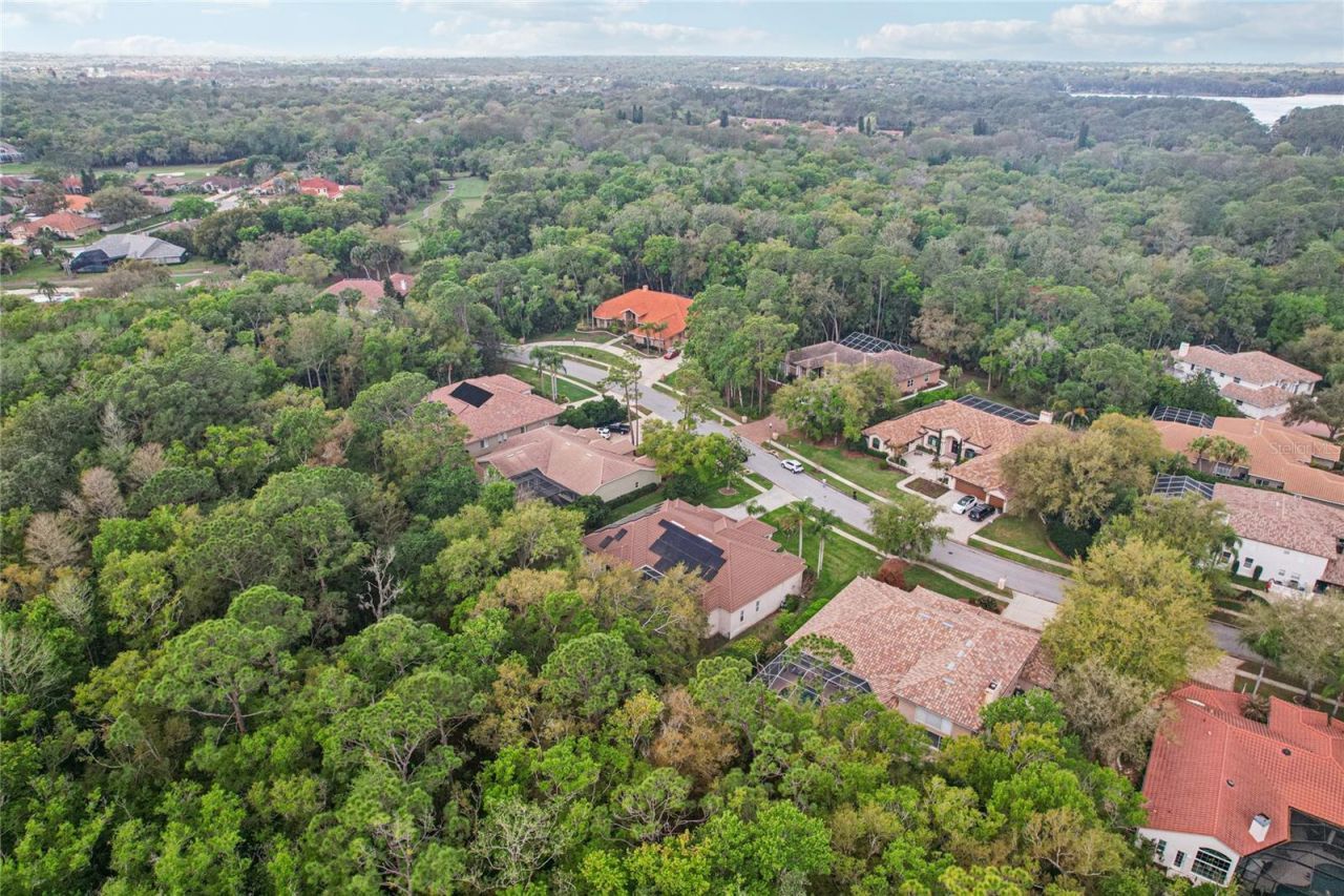 4931 Turtle Creek Trail, Oldsmar, FL 34677 Photo